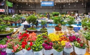 Chợ hoa Đầu Nam Côn Minh - Chợ hoa tươi lớn nhất châu Á