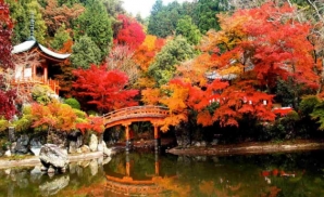 Khám phá Nhật Bản vào mùa thu 