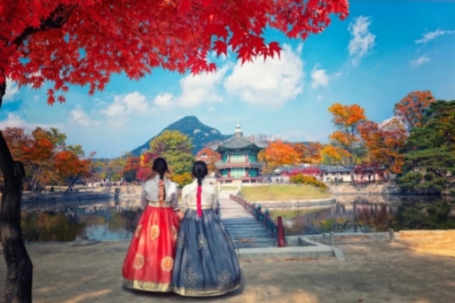 10 điều nên làm hàng đầu ở Hàn Quốc để trải nghiệm tinh túy nơi đây