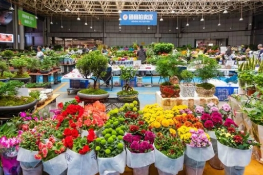 Chợ hoa Đẩu Nam Côn Minh - Chợ hoa tươi lớn nhất châu Á