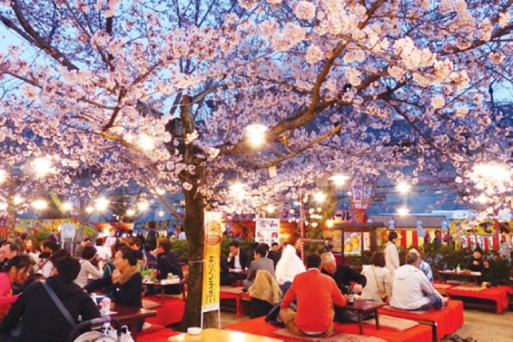 10 lễ hội hoa đẹp nhất Nhật Bản vào mùa xuân